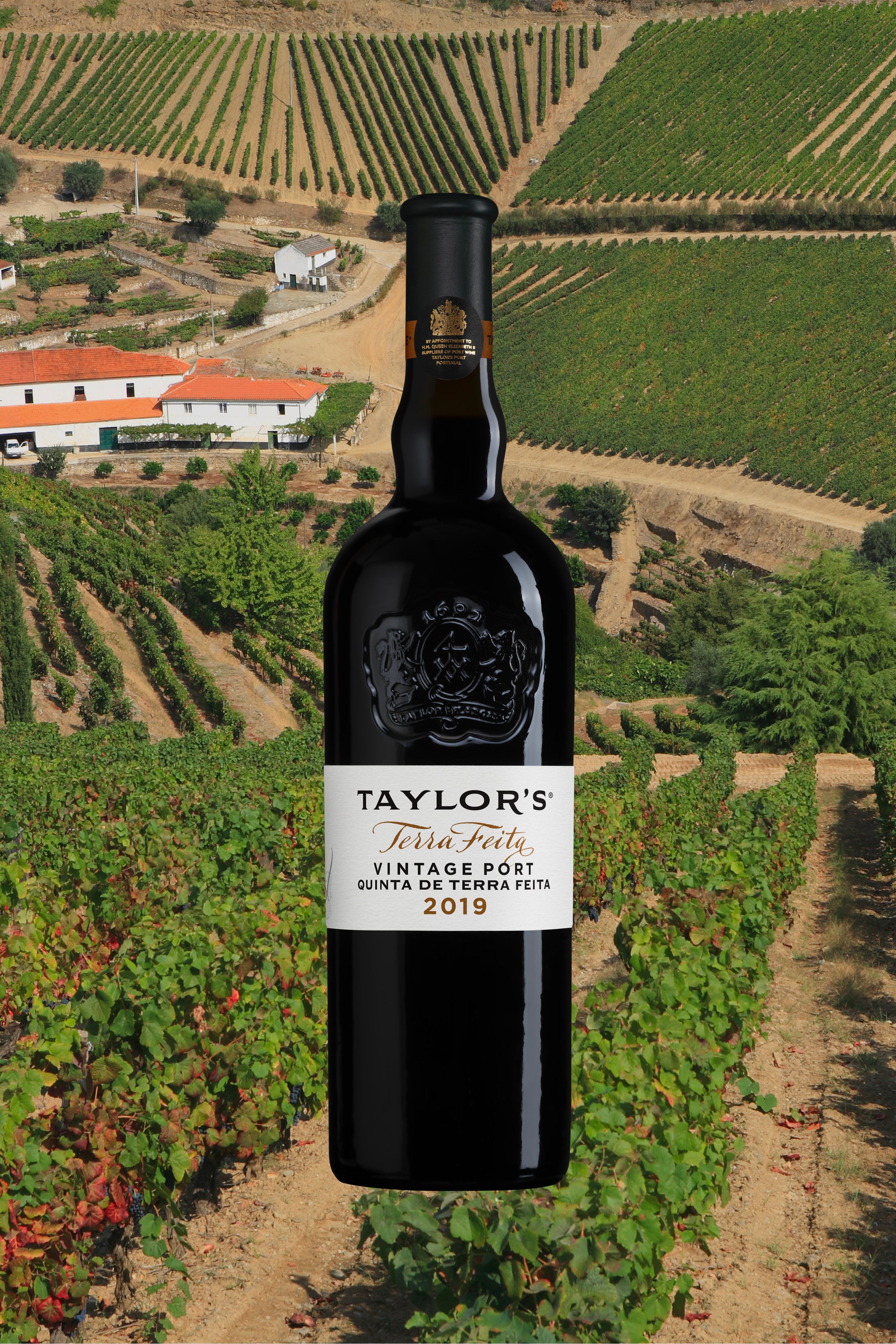 Taylor's : Terra Feita Vintage Port 2019